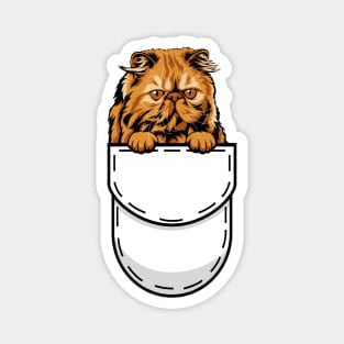 Funny Pocket Cat Persian Magnet