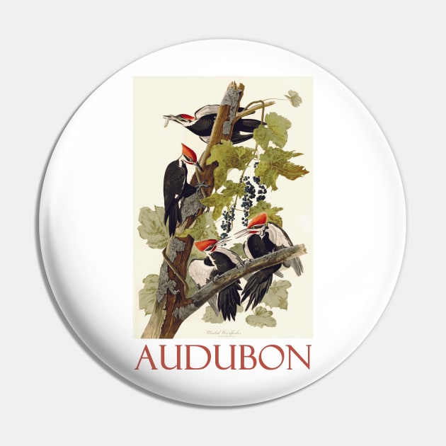 Pileated Woodpecker by John James Audubon Pin by Naves
