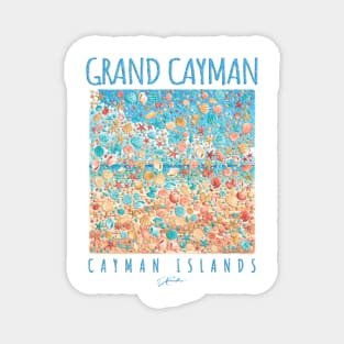 Grand Cayman, Cayman Islands, Seashell Rain Magnet