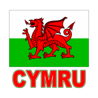 The Pride of Wales - Welsh Flag and Language T-Shirt