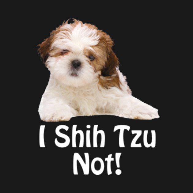 I Shih Tzu Not T-shirt Funny Shih Tzu Mom - Shih Tzu - Crewneck ...