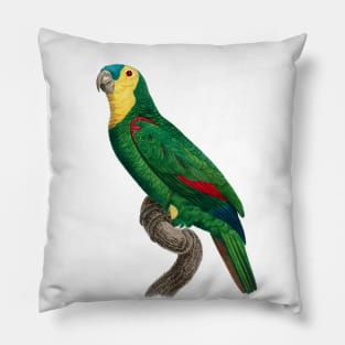 Green parrot Pillow