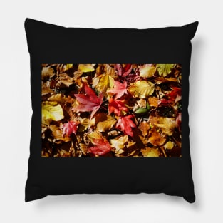 Colorful Fallen Autumn Leaves 1 - Seasons - Nature Abstract Pillow