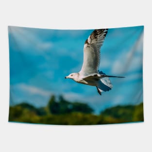 Spread Wings. Seagull Photograph Tapestry