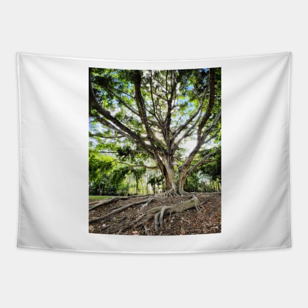 Mangrove Tapestry by goodieg