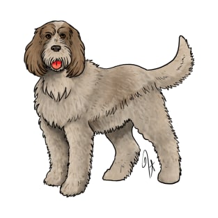 Dog - Spinone Italiano - Red and Tan T-Shirt