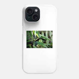 Cairns Birdwing Phone Case