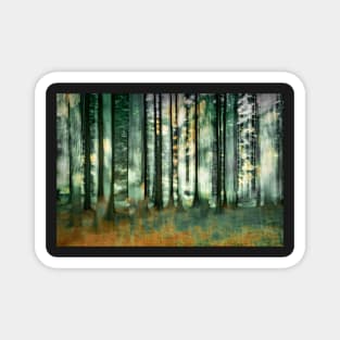 Abstract Forest Scene Magnet