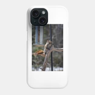 Waiting for Lunch , Squirrel Phone Case