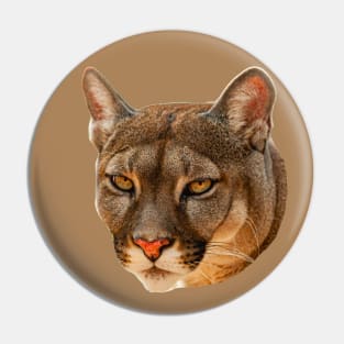 Mountain Lion stare Pin