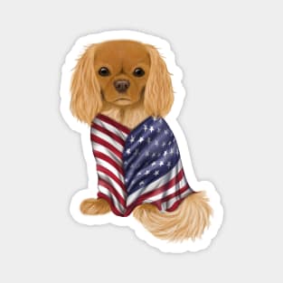 USA American Flag, Ruby Cavalier King Charles Spaniel Magnet