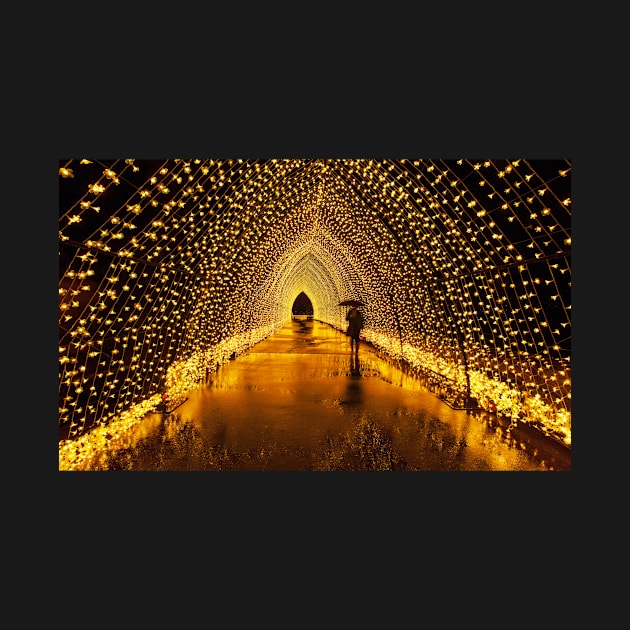 Golden tunnel by dags