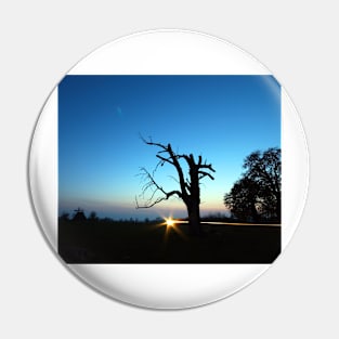 Dead Tree Sunset Pin