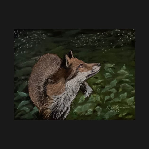 Red Fox at Night by Bill Cameron Fine Art