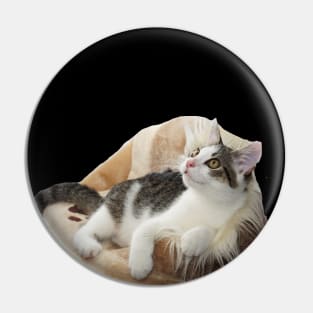 Cushion Kitty Pin