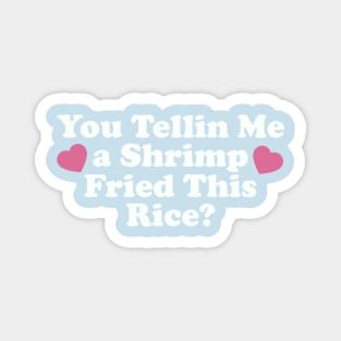 You Tellin Me a Shrimp Fried This Rice? Funny Sarcastic Meme Y2k Magnet