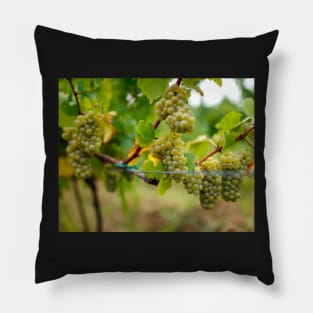 Ripening grapes on the vine Pillow