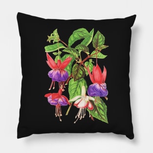 Fuchsia flowers - botanical illustration Pillow