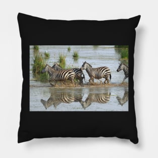 Zebras Crossing Pillow