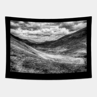 Whinlatter Pass, Cumbria, England, Black And White Tapestry