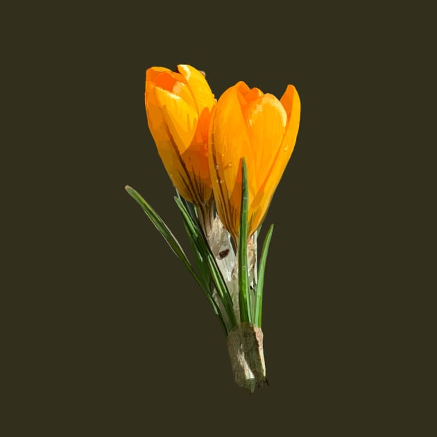 Crocus by A_using_colors