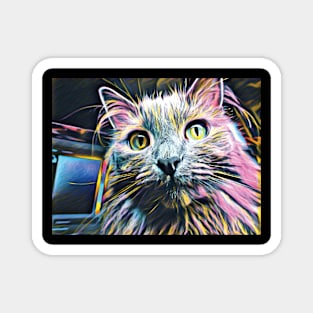 Gray cat in awesome Rainbow colors Magnet