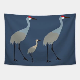 Sandhill cranes with baby Tapestry