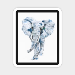 Elephant on the move. Magnet