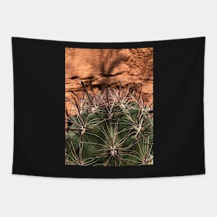 Fish hook Cactus Tapestry