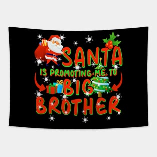 Promoted To Big Brother Christmas Tapestry