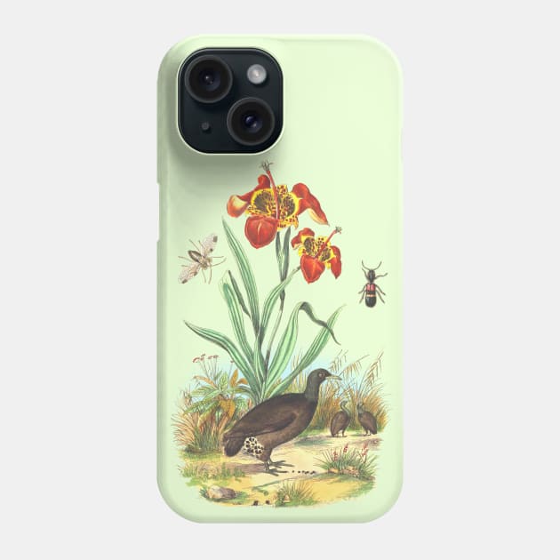 Wildlife Tropical Illustration Phone Case by Biophilia