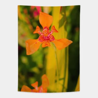 Orange lily blossom on yellow background Tapestry