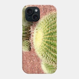 Serenity in Succulents - Cactus Photo Art Phone Case