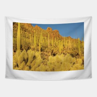 Sonoran Desert Landscape Tapestry