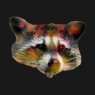 Raccoon Disco T-Shirt