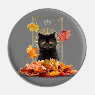 Fall Tarot Cat Pin