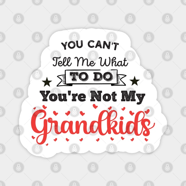 You Can't Tell Me What To Do You're Not My Granddaughter Magnet by Gaming champion