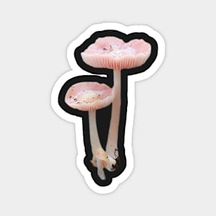 mushroomz Magnet