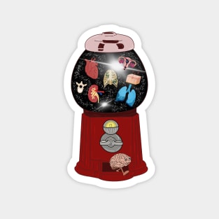 Anatomy Gumball Machine Magnet