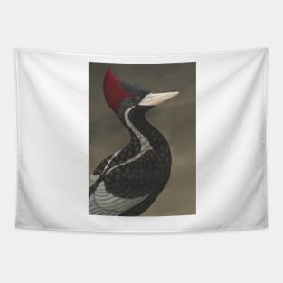 Ivory-billed Woodpecker (Campephilus principalis) Tapestry