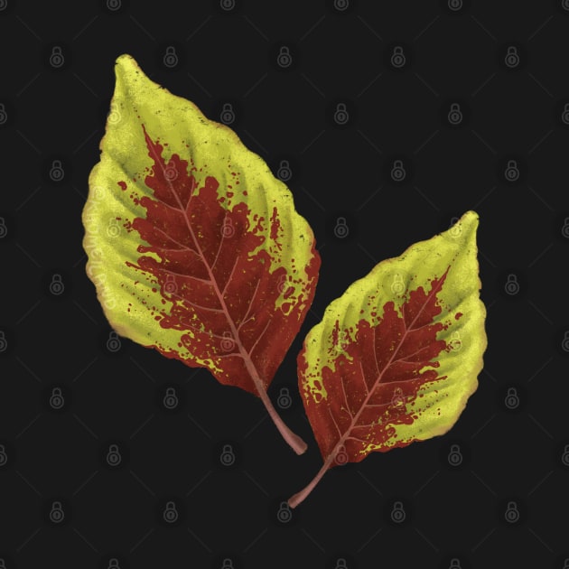 Coleus Wizard Scarlet Leaf by Khotekmei