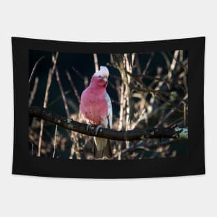 Galah Tapestry