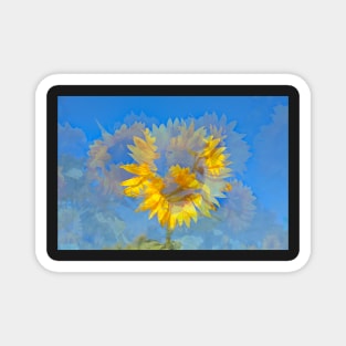 Sunflower, sunflower, abstract, (Helianthus annuus) Magnet