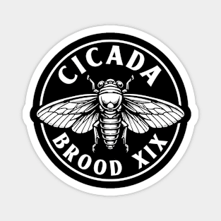 Cicada Brood XIX Southern Hatch Magnet