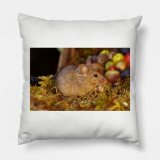 Wild  cute garden house  mouse Pillow