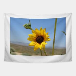 Sun flower, wild flowers, Mojave Desert, California Tapestry