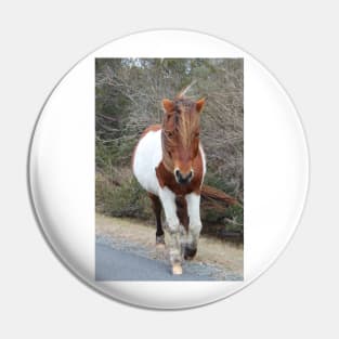 Assateague Pony - Virginia Pin