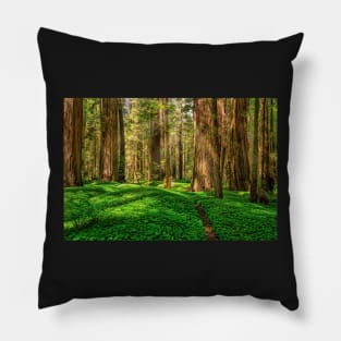 Redwood Forest Pillow