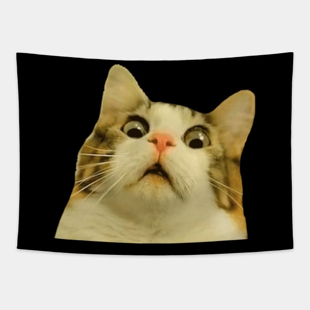 Surprised cat Tapestry by LaRaf97