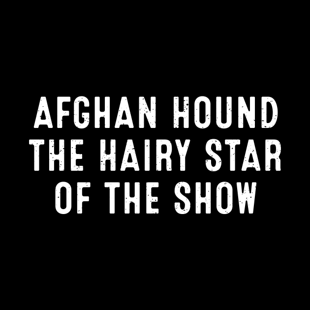 Afghan Hound The Hairy Star of the Show by trendynoize